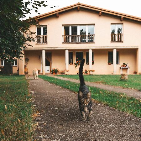 Casa De Campo La Solana Эстольо Экстерьер фото